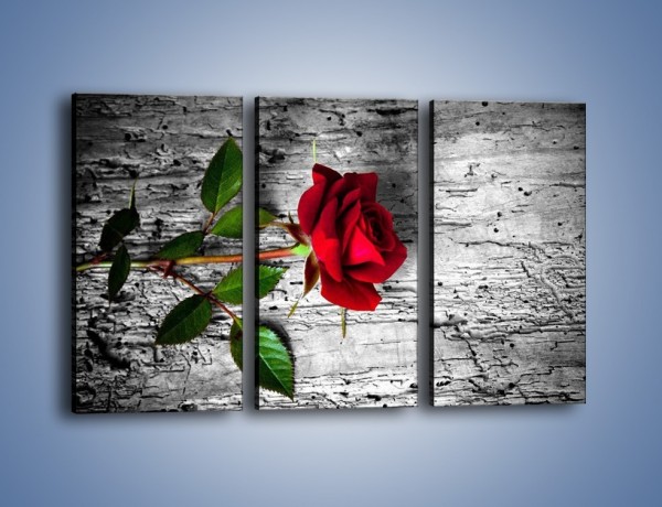Obraz na płótnie – Róża na surowym tle – trzyczęściowy K843W2