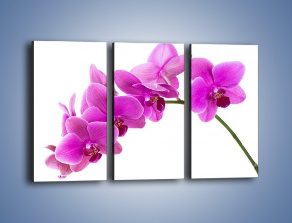 Obraz na płótnie – Kwiaty w lewą stronę – trzyczęściowy K853W2