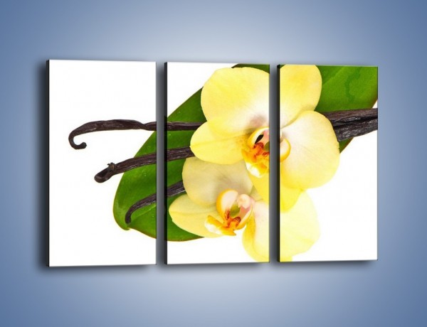 Obraz na płótnie – Waniliowa kwiatowa kompozycja – trzyczęściowy K857W2