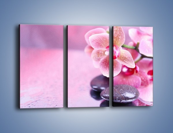 Obraz na płótnie – Mokry kwiatowy pejzaż – trzyczęściowy K860W2