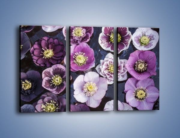 Obraz na płótnie – Wszystkie odcienie fioletu w kwiatach – trzyczęściowy K876W2