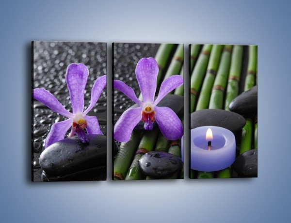 Obraz na płótnie – Mokre fiolety i kwiaty – trzyczęściowy K880W2