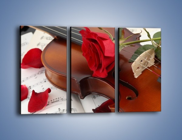Obraz na płótnie – Instrument muzyka i kwiaty – trzyczęściowy K900W2