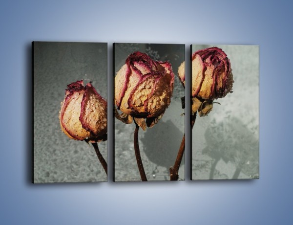 Obraz na płótnie – Ususzone zmoczone róże – trzyczęściowy K944W2