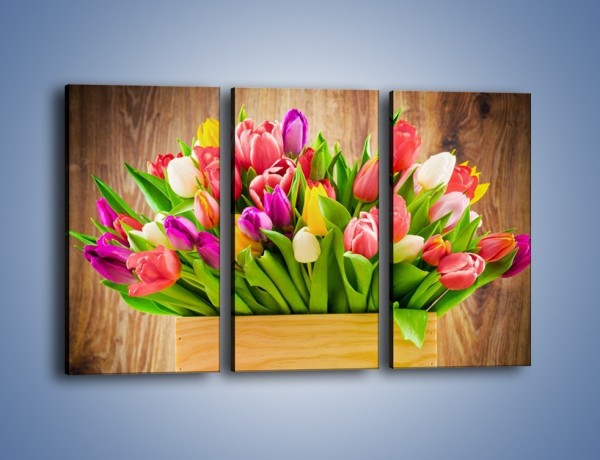 Obraz na płótnie – Skrzynia w tulipanach – trzyczęściowy K955W2