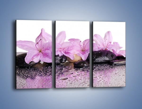 Obraz na płótnie – Lila kwiaty w mokrym klimacie – trzyczęściowy K957W2