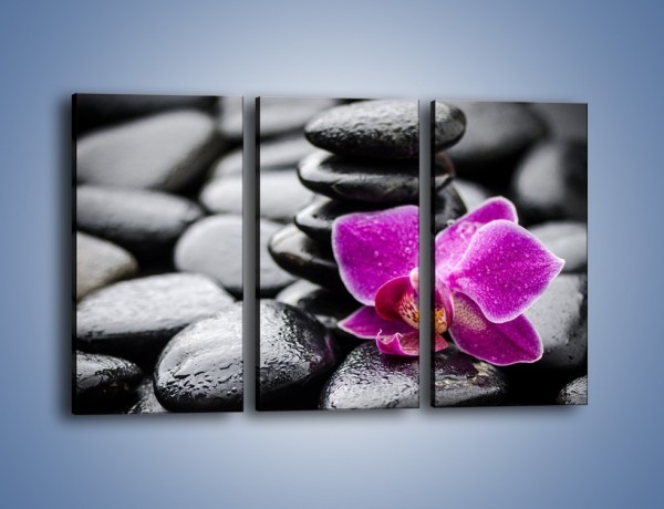 Obraz na płótnie – Malutki kwiatek i morze kamieni – trzyczęściowy K983W2