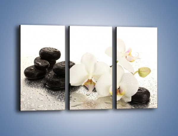 Obraz na płótnie – Mokre kwiaty i kamienie – trzyczęściowy K986W2