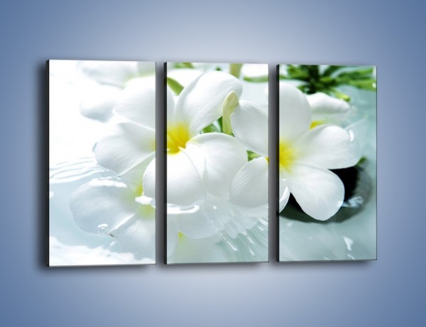 Obraz na płótnie – Białe kwiaty w potoku – trzyczęściowy K991W2