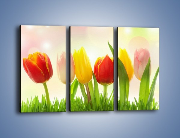 Obraz na płótnie – Sześć małych tulipanków – trzyczęściowy K996W2
