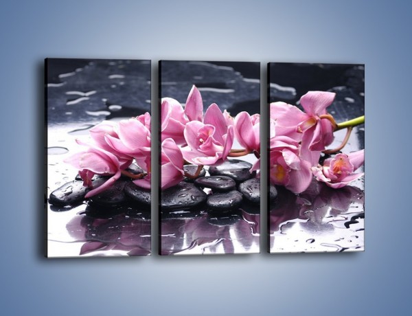 Obraz na płótnie – Rzucone kwiaty na wodę – trzyczęściowy K997W2