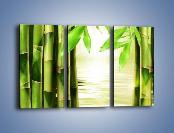 Obraz na płótnie – Bambusowe liście i łodygi – trzyczęściowy KN027W2