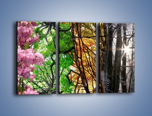Obraz na płótnie – Drzewa w różnych kolorach – trzyczęściowy KN037W2