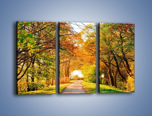 Obraz na płótnie – Jesienna drogą – trzyczęściowy KN064W2