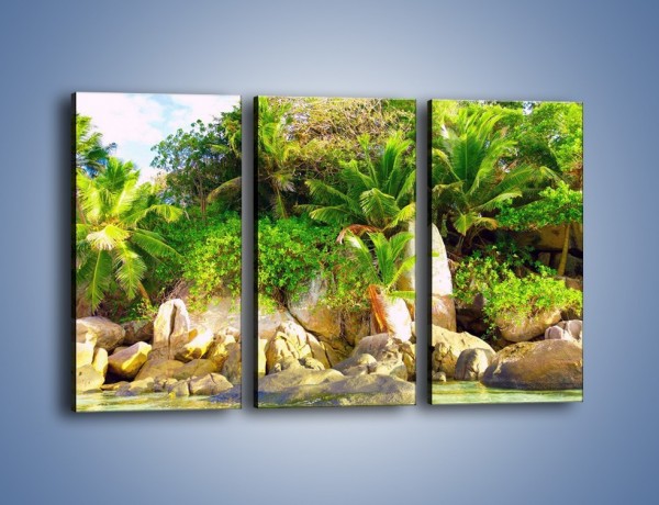 Obraz na płótnie – Ściana tropikalnych drzew – trzyczęściowy KN086W2