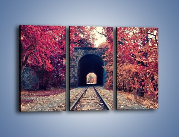 Obraz na płótnie – Pociągiem przez jesień – trzyczęściowy KN1023W2