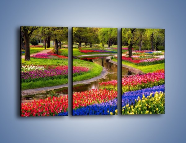 Obraz na płótnie – Aleje kolorowych tulipanów – trzyczęściowy KN1079W2