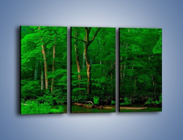 Obraz na płótnie – Mocno zarośnięty las – trzyczęściowy KN1089AW2
