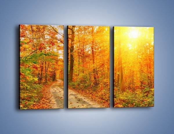 Obraz na płótnie – Leśną drużką jesienią – trzyczęściowy KN1163AW2