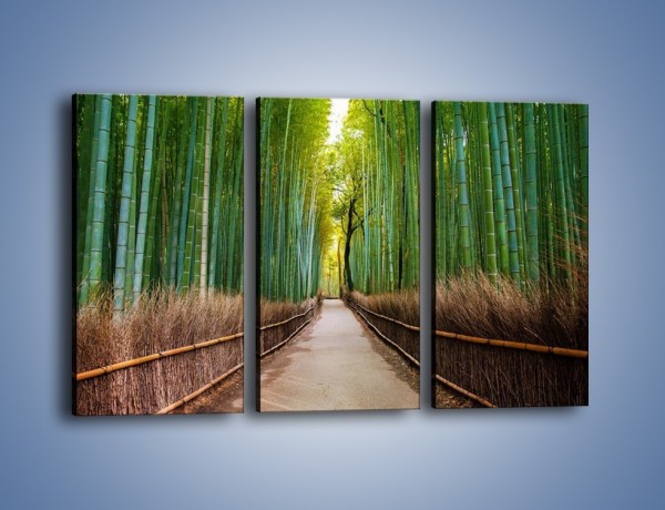 Obraz na płótnie – Bambusowy las – trzyczęściowy KN1187AW2