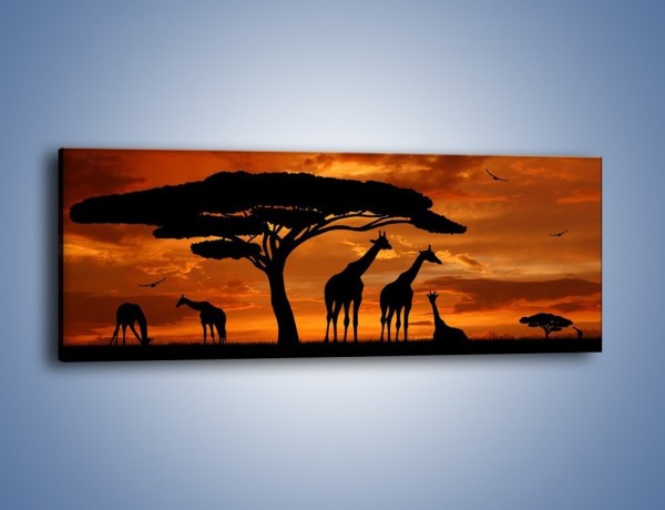 Obraz na płótnie – Żyrafy wieczorową porą – jednoczęściowy panoramiczny GR266