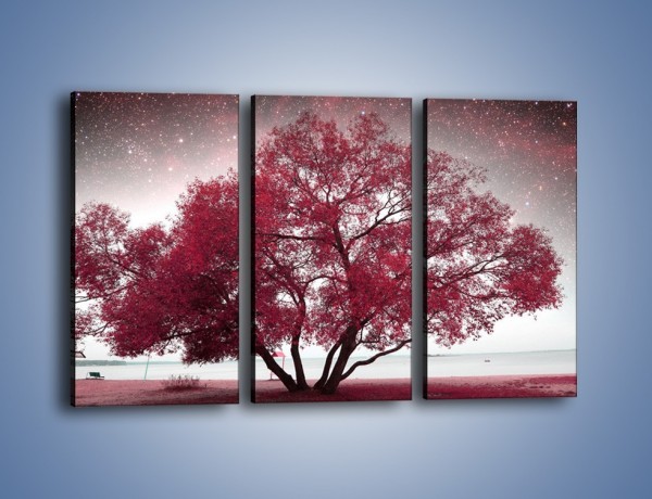 Obraz na płótnie – Drzewo i migające gwiazdy – trzyczęściowy KN1236AW2