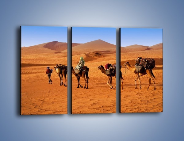 Obraz na płótnie – Idą wielbłądy przez pustynię – trzyczęściowy KN1237AW2
