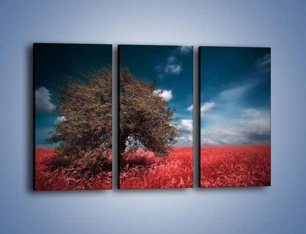 Obraz na płótnie – Drzewo na czerwonej łące – trzyczęściowy KN1246AW2