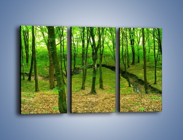 Obraz na płótnie – Wąskie spojrzenie na las – trzyczęściowy KN1264AW2