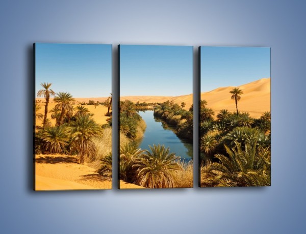 Obraz na płótnie – Woda woda na pustyni – trzyczęściowy KN1294AW2