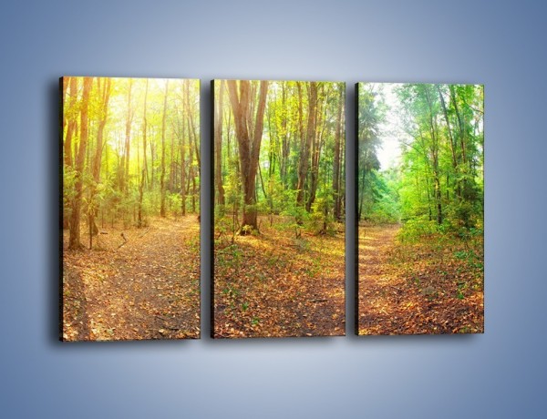 Obraz na płótnie – Przejrzysty piękny las – trzyczęściowy KN1344AW2