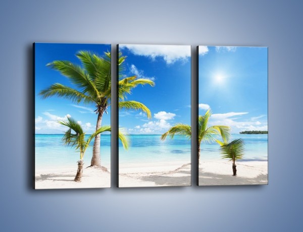 Obraz na płótnie – Palmy na pustej plaży – trzyczęściowy KN245W2