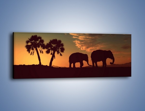 Obraz na płótnie – Powrót słoni do domu – jednoczęściowy panoramiczny GR286