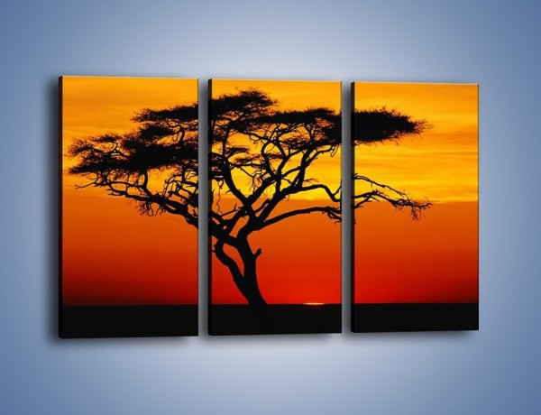 Obraz na płótnie – Zachód słońca i drzewo – trzyczęściowy KN307W2