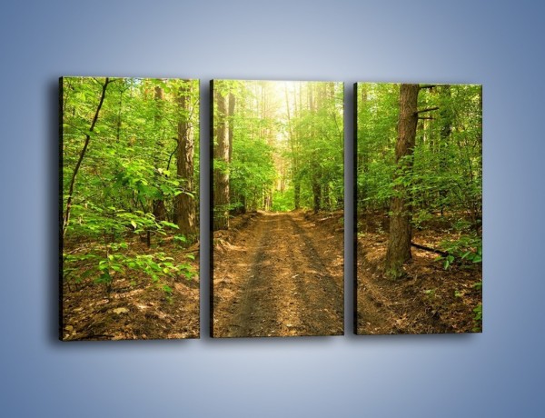 Obraz na płótnie – Leśną drogą jak z filmu – trzyczęściowy KN324W2
