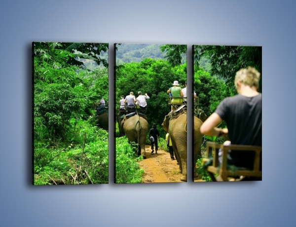 Obraz na płótnie – Podróż na słoniu – trzyczęściowy KN414W2