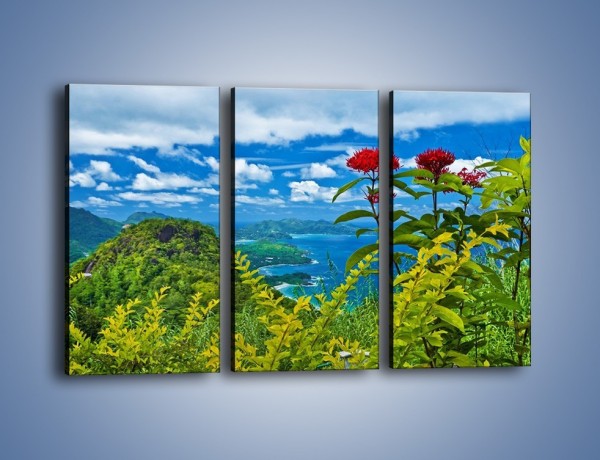 Obraz na płótnie – Bordowe kwiaty w górskim krajobrazie – trzyczęściowy KN561W2