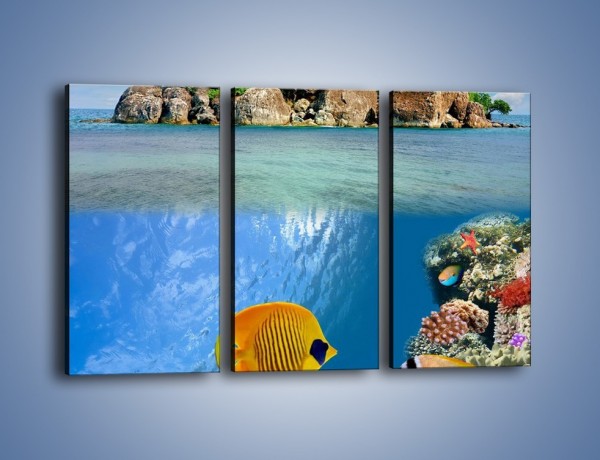 Obraz na płótnie – Podwodny świat na wyspie – trzyczęściowy KN586W2