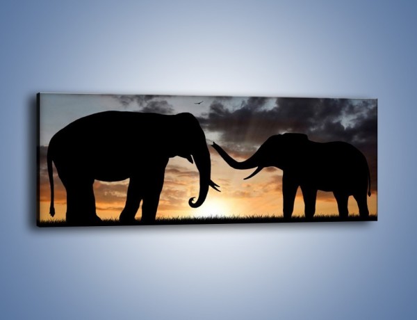 Obraz na płótnie – Dyskusja wśród słoni – jednoczęściowy panoramiczny GR309