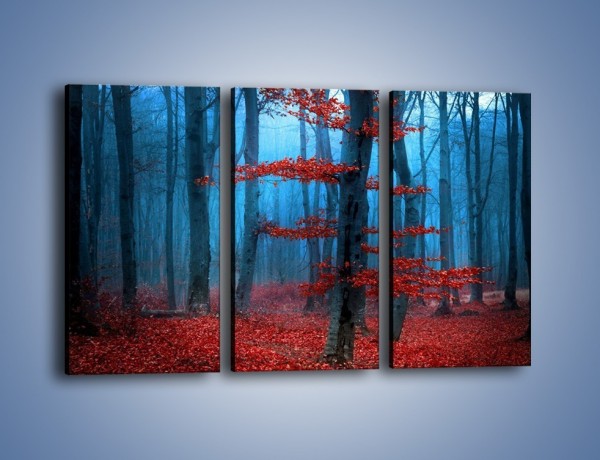 Obraz na płótnie – Czerwień w lesie – trzyczęściowy KN897W2