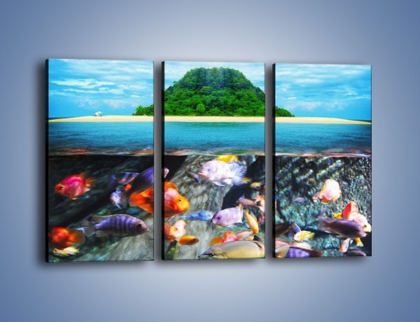 Obraz na płótnie – Kolorowy świat ryb – trzyczęściowy KN906W2