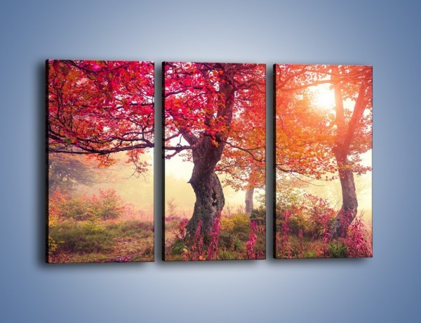 Obraz na płótnie – Kolory na drzewach i na ziemi – trzyczęściowy KN941W2
