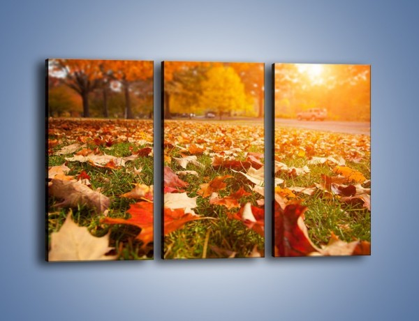 Obraz na płótnie – Jesień na trawie – trzyczęściowy KN966W2