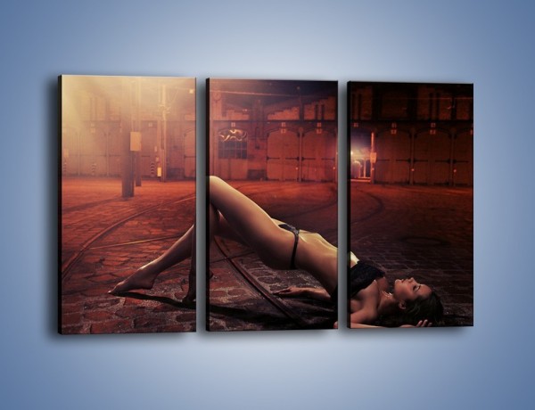 Obraz na płótnie – Kobiece ciało na bruku – trzyczęściowy L055W2