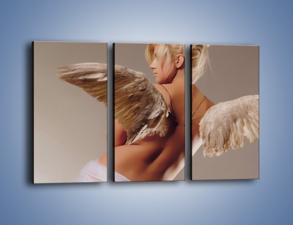 Obraz na płótnie – Kobieta ubrana w skrzydła – trzyczęściowy L060W2