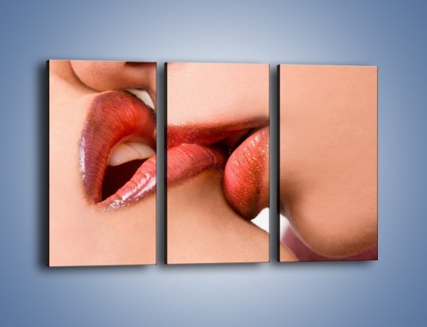 Obraz na płótnie – Krwisty pocałunek – trzyczęściowy L111W2