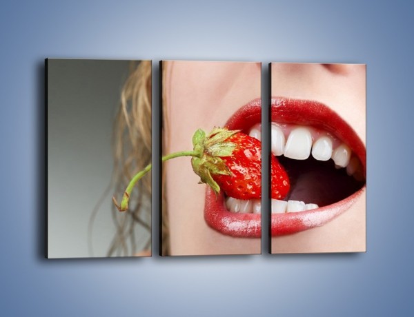 Obraz na płótnie – Mocny chwyt zębami – trzyczęściowy L122W2