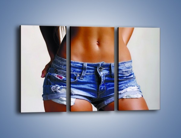 Obraz na płótnie – Najmodniejszy jeansowy fason – trzyczęściowy L178W2