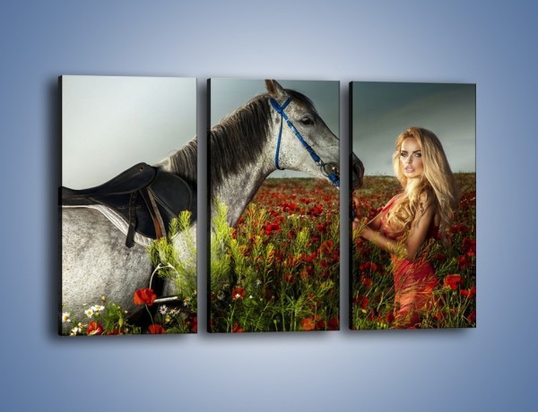 Obraz na płótnie – Kobieta koń i polana maków – trzyczęściowy L333W2