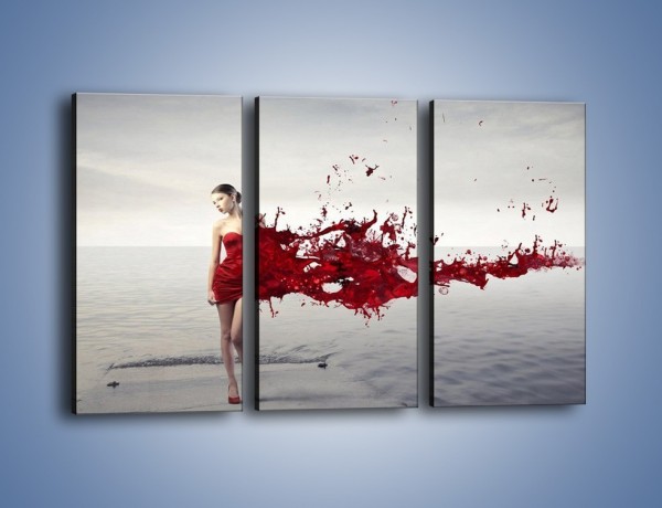 Obraz na płótnie – Krew suknia i woda – trzyczęściowy L361W2